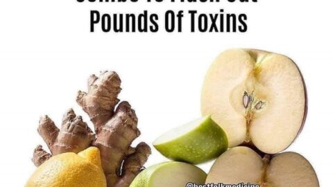 “Good Gut Health”