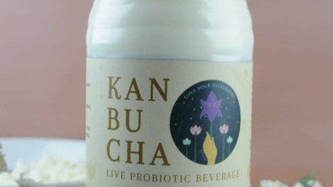 “How you can heal with Kanbucha SA”