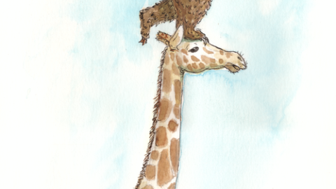 “The Beauty Of Supporting One Another In Difficult Times” Written by Amy Johnson