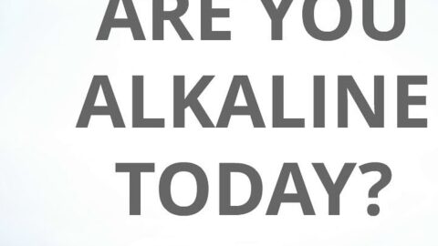 “Fate lead me to Kate”